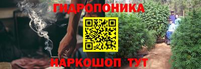 дмт Пыть-Ях