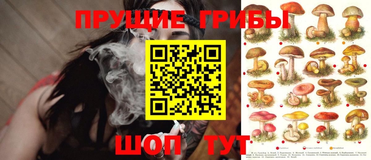 Галлюциногенные грибы прущие грибы  Галлюциногенные грибы прущие грибы  Севастополь  Вход с VPN 